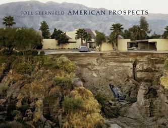 Joel Sternfeld: American Prospects