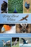 Wild Bird Tales