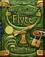 Septimus Heap - Flyte, English edition
