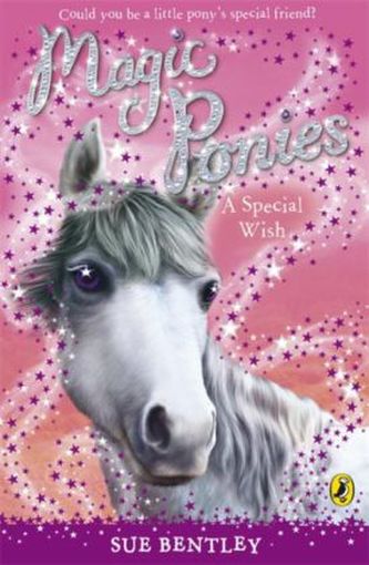 Magic Ponies - A Special Wish