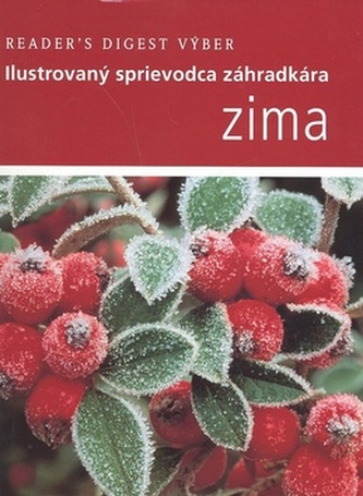 Zima Zima
