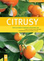 Citrusy