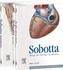 Atlas of Human Anatomy - Latin Nomenclature, 3 Vols.