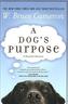 A Dog's Purpose. Ich gehöre zu dir, englische Ausgabe