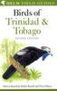 Birds of Trinidad & Tobago