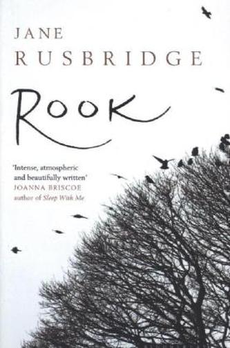 Rook