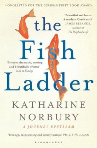 The Fish Ladder