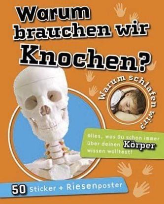 Warum brauchen wir Knochen?