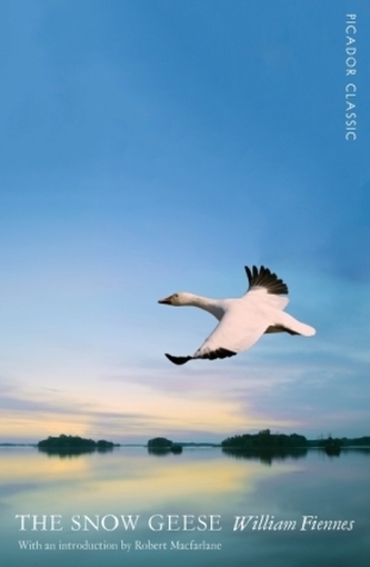 The Snow Geese. Der Zug der Schneegänse, englische Ausgabe