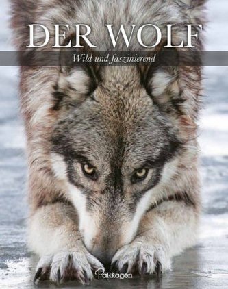Der Wolf