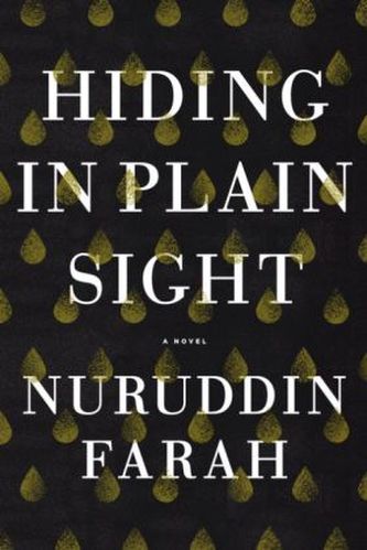 Hiding in Plain Sight