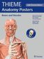 Thieme Anatomy Poster, Latin Nomenclature, Bones and Muscles