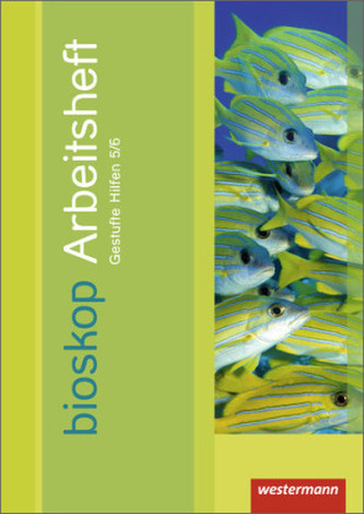 5./6. Schuljahr, Arbeitsheft Gestufte Hilfen