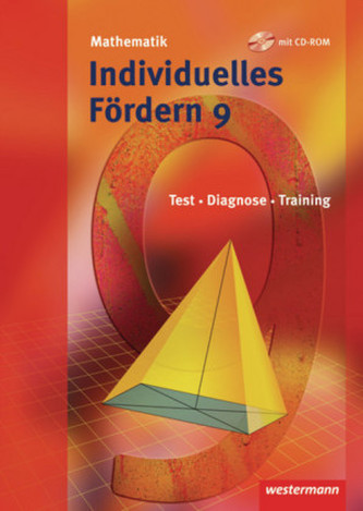9. Schuljahr, Individuelles Fördern, m. CD-ROM