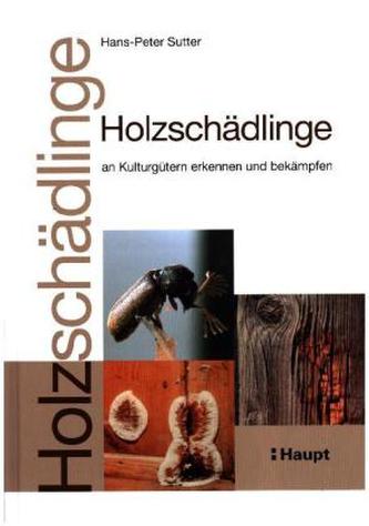 Holzschädlinge an Kulturgütern erkennen und bekämpfen