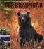 Der Braunbär