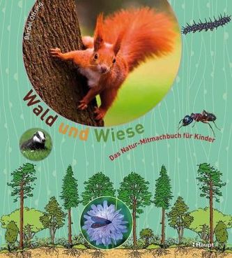 Wald und Wiese