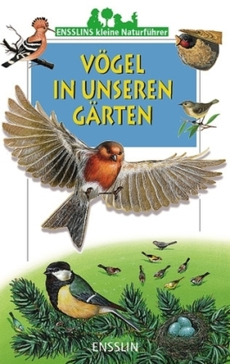 Vögel in unseren Gärten