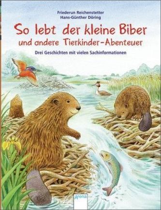 So lebt der kleine Biber und andere Tierkinder-Abenteuer