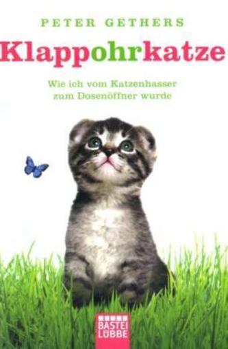 Klappohrkatze