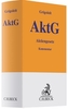 AktG - Aktiengesetz, Kommentar