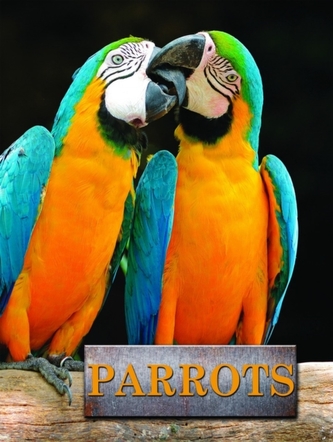 Parrots