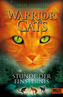 Warrior Cats - Stunde der Finsternis