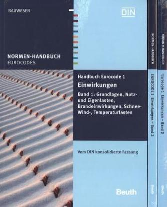 Einwirkungen. Bauzustände, Außergewöhnliche Lasten, Verkehrs-, Kranbahn- und Silolasten. Brückenlasten, 3 Bde.