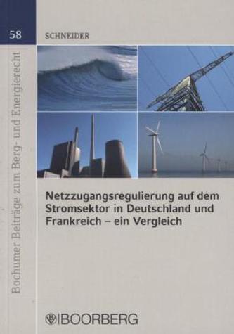 Netzzugangsregulierung auf dem Stromsektor in Deutschland und Frankreich - ein Vergleich