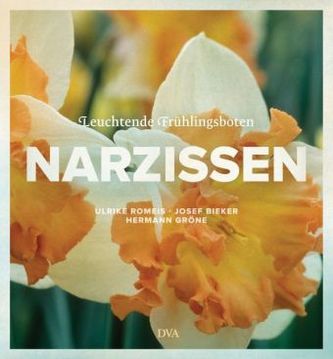 Narzissen
