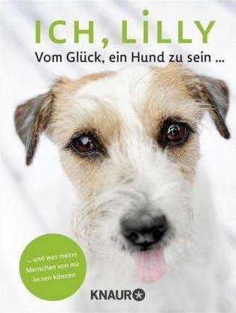 Ich, Lilly