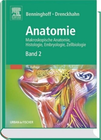 Herz-Kreislauf-System, Lymphatisches System, Endokrine Drüsen, Nervensystem, Sinnesorgane, Haut