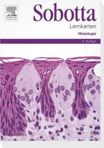 Histologie, Lernkarten