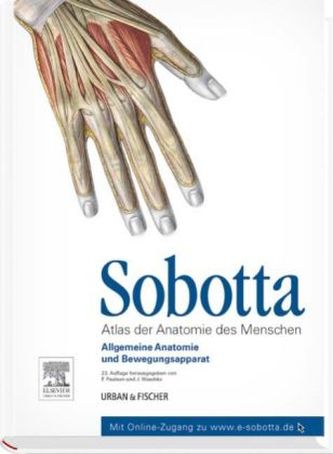 Allgemeine Anatomie und Bewegungsapparat