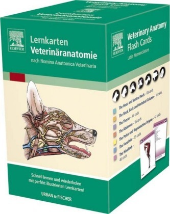 Lernkarten Veterinäranatomie