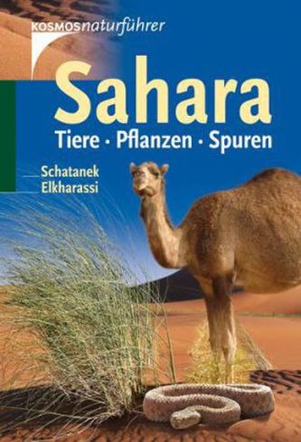 Sahara