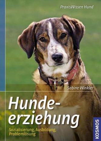 Hundeerziehung