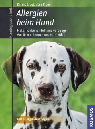 Allergien beim Hund