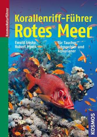 Korallenriff-Führer Rotes Meer