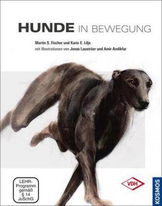 Hunde in Bewegung, m. DVD