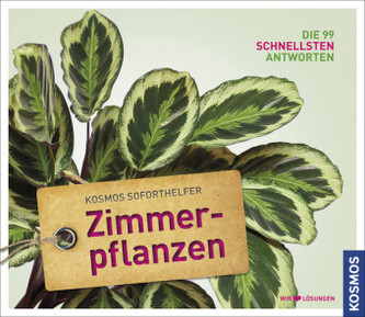 Zimmerpflanzen