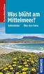 Was blüht am Mittelmeer?