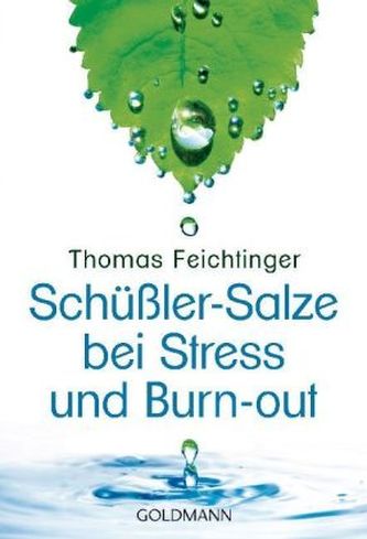 Schüßler-Salze bei Stress und Burn-out