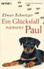 Ein Glücksfall namens Paul