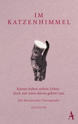 Im Katzenhimmel