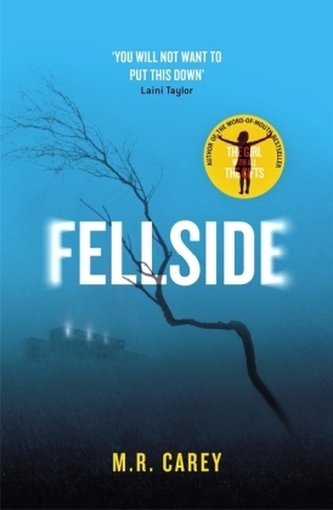 Fellside