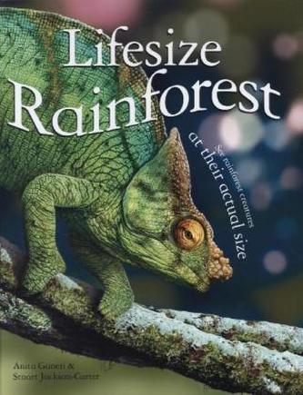 Lifesize Rainforest