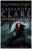 The Mortal Instruments - City of Fallen Angels. Chroniken der Unterwelt - City of Fallen Angels, englische Ausgabe
