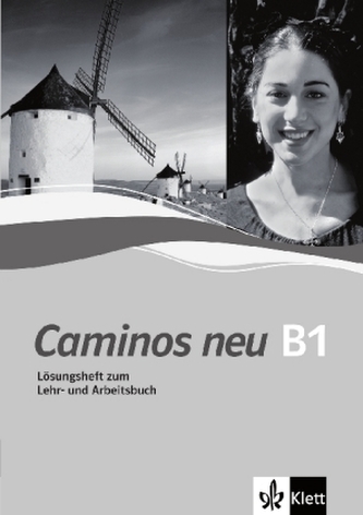 Lösungsheft zum Lehr- und Arbeitsbuch B1