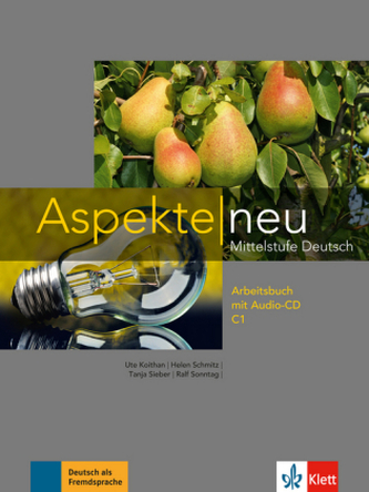 Arbeitsbuch C1, m. Audio-CD